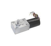MUYTQAERG DC Motor 5840-3650 BLDC Worm Geared 12V 24V D C High Power Torque Silent Brushless Gear for Curtain Machine : 27RPM(24V 160RPM)