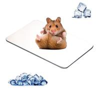 MUYYIKA Rabbit Cooling Pad Hamster Cooling Pad for Pets Cooling Plate Made of Aluminium Alloy Cooling of Pets for Guinea Pigs Hamsters Rabbits etc (120 x 80 mm)