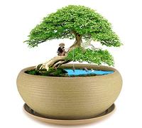 MUZHI 10” Round Large Ceramic Bonsai Bowl Planter，Clay Succulent Plant Pot Container with Saucer
