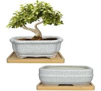 MUZHI 2 Pack Amazing Ice Crack Glazed Ceramic Bonsai Pot White Color 5 Inch with Bamboo Tray, Plant Pot Succulent Planter for Office Home Garden Decor Gift