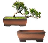 MUZHI 2 Pack Handmade Color Gradational Terracotta Bonsai Pot 5 Inch and 6 Inch with Drip Tray, Breathable Unglazed Rectangle Ceramic Planter for Tree Succulent Cactus