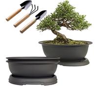 MUZHI 3 Pack Oval Bonsai Pot with Drainage Tray, Matte Finish Plastic Bonsai Growing Planters with Tools for Home Garden Plant Container (9.1" Large)