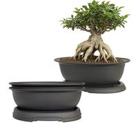 MUZHI 3 Pack Oval Bonsai Training Pot with Drainage Tray, Matte Finish Succulent Growing Pot for Home Garden Plant Outdoor Indoor Container (7.2" Medium)