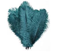 Muzrunq Ostrich Feathers Colorful Natural Ostrich Feathers for DIY Home Wedding Party Office Decoration Set of 10pcs (Teal)