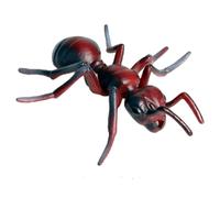Muzrunq Plastic Ants Realistic Animal Figurines Ants Growth Cycle Science Project Early Educational Toys Plastic Animal Figurines Ant Toy Educational Toys
