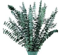 Muzrunq Preserved Dried Eucalyptus Branches Fresh Eucalyptus Plant Stem Real Eucalyptus Bunch for Vase Filler, Dried Flowers Arrangement, Floral Home Decor 17" 16Pcs