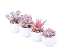 Muzrunq Succulent Plants Artificial Plants Indoor Pink Fake Plant Desk Plants Mini Faux Plants in Pots House Plants for Home Office Tabletop Decor 4PCS