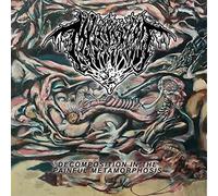 Mvltifission - Decomposition In The Painful Metamorphosis