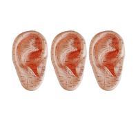 MVOSJFIE 3X English Version Ear Acupuncture Earpins Model Model Auricular Application Model Ear Acupuncture Points Model