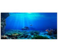 mvrople Fish Tank Decorations Background Sticker PVC Aquarium Background Adhesive Poster For Underwater World Cling Decals Pictures Wallpaper Backdrop Decoration Paper (91X41)