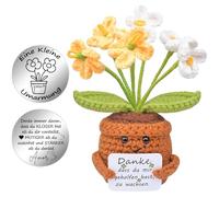 Mwmoeen Pocket Hug Positive Flower, Creative Knitting Wool, Positive Potato and Small Hug, Lucky Charm, Courage Gift, Graduation Gift, Best Friend Small Gifts for Women