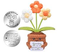 Mwmoeen Pocket Hug Positive Flower, Creative Knitting Wool, Positive Potato and Small Hug, Lucky Charm, Courage Gift, Graduation Gift, Best Friend Small Gifts for Women