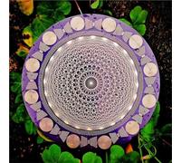 MWO Disk EMFS Tesla Polarizing Disk, Multi-Wave Oscillator Tesla Coil, 0.06" Thickness, Φ12.8cm Energy Color, Water Energization & Harmonic Balancing, For Meditation(C)