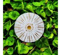 MWO Polarizing Disk, Multi Oscillator Coil, Bracelet, Dual Disc Resonance, Water Energization, Harmonic Balancing, Available From 174Hz-963Hz, For Meditation, Relaxation, Healing(174hz)