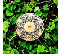 MWO Polarizing Disk, Multi Oscillator Coil, Bracelet, Dual Disc Resonance, Water Energization, Harmonic Balancing, Available From 174Hz-963Hz, For Meditation, Relaxation, Healing(963hz)