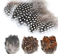 MWOOT 300 Assorted Chicken Spotted Feathers Natural Pheasant Feather for Crafts Various DIY Birthday Party Wedding Home Decorations