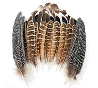 MWOOT 40 Pcs Natural Feathers for Crafts Art, 4 Styles Mixed Pheasant Duck Spotted Feathers Bulk for DIY Costumes Jewelry Dream Catcher Hat Wedding Party Halloween Decoration