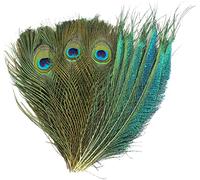 MWOOT 40Pcs Natural Peacock Feathers, Green Peacock Sword Feathers for DIY Crafts Art, 20-25CM Peacock Eye Tail Feathers for Carnival Revelry Masquerade Costume Wedding Holiday Party Decoration