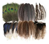 MWOOT 48 Pcs Natural Feathers for Crafts Art, 6 Styles Peacock Pheasant Turkey Duck Feathers Bulk for DIY Costumes Jewelry Hat Wedding Party Halloween Decoration