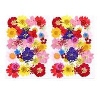 MWOOT 70 Pieces DIY Crafts Dried Pressed Flowers for Handmade Candle Resin Jewelry Pendant Crafts Art Making, Floral Decoration- White/Pink/Yellow/Red Daisy Petals (Pack of 2)