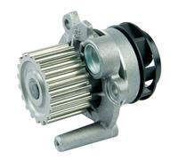 INA 538 0089 10 Water pump