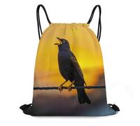 MXDLKSWPOH Drawstring Backpack Sports Gym Bags Draw String Bag Bird Perched on Wire Drawstring Bags for Women Men Sackpack