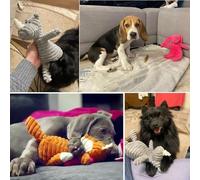 MXGRAPHIC Plush Dog Toy Animals Shape Bite Resistant Squeaky Toys Corduroy Dog Toys For Small Large Dogs Pet Training Accessories(Donkey 2)