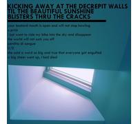 Mxlx – Kicking Away At The Decrepit Walls Til The Beautiful Sunshine Blisters – Vinyl