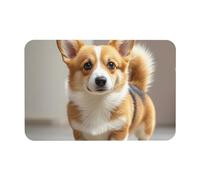 MXPELGHMAD Door Mat Absorbent Non-Slip Bath Mat for Bathroom Rug Cute corgi dog Doormat Front Door Mat Bath Rug Outdoor Indoor Area Rugs Entrance Doormat for Entryway Bedroom Floor Bathtub