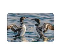 MXPELGHMAD Door Mat Absorbent Non-Slip Welcome Mats Washable Kitchen Rugs for Entryway Front Door Mat Loon Birds Doormat Outdoor Indoor Entrance Doormat for Bedroom Kitchen Porch 80x49 cm