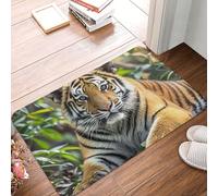 MXPELGHMAD Door Mat Absorbent Non-Slip Welcome Mats Washable Kitchen Rugs for Entryway Front Door Mat Big Tiger Doormat Outdoor Indoor Entrance Doormat for Bedroom Kitchen Porch 40x60 cm