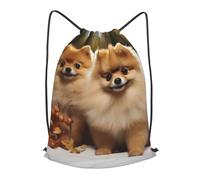 MXPELGHMAD Drawstring Backpack Draw String Back Bag Cute pomeranian Drawstring Bags Cinch Sack Gym Bags