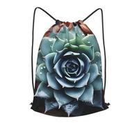 MXPELGHMAD Drawstring Backpack Draw String Back Bag Succulent Plant Drawstring Bags Cinch Sack Gym Bags