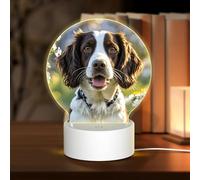 MXZERFKGLA 3D Night LED Light Lamp Bases Acrylic Love Lamps Cute Springer Spaniel Night Light LED Bedside Lamps Acrylic Table Lamp Thanksgiving Birthday Personalized Gifts for Women Men Couple