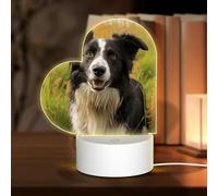 MXZERFKGLA 3D Night LED Light Lamp Bases Acrylic Love Lamps Mohado Border Collie Dog Night Light LED Bedside Lamp Acrylic Table Lamps Thanksgiving Birthday Personalized Gifts for Women Men Couple