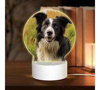 MXZERFKGLA 3D Night LED Light Lamp Bases Acrylic Love Lamps Mohado Border Collie Dog Night Light LED Bedside Lamps Acrylic Table Lamp Thanksgiving Birthday Personalized Gifts for Women Men Couple