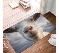 MXZERFKGLA Doormat Non-Slip Front Door Mat 60 x 40cm Outdoor Entrance Mat Indoor Rugs for Entryway Goat Doormat Absorbent Welcome Mats Washable Floor Mats for Hallway Outside Patio Porch