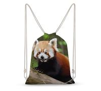MXZERFKGLA Drawstring Backpack Sports Gym Bags Little Red Panda Drawstring Bags for Men Women Beach Bag String Bag