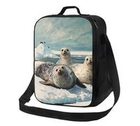 MXZERFKGLA Insulated Lunch Bag Reusable Cooler Bag Seals on ice Lunch Box Lunch Tote Bag for Work Picnic