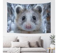 MXZERFKGLA Tapestry Wide Wall Hanging Tapestries Lightweight Art Wall Blanket Opossum In Snow Tapestry Vintage Mural Home Decor Aesthetic Tapestries for Bedroom Dorm Living Room 60x40 Inch