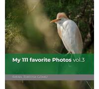 My 111 favorite Photos vol.3