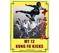 My 12 Kung Fu Kicks