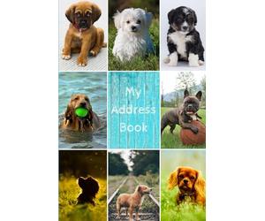 My Address Book: Dog Cover | Address Book for Names, Addresses, Phone Numbers, E-mails and Birthdays