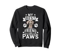 My Best Friend Has Paws Great Dane Lover Gentle Giant Dog Sweatshirt