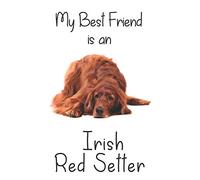 My best Friend is an Irish Red Setter: 8” x 5” Blank lined Journal Notebook 120 College Ruled Pages
