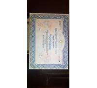 My Best Gifts Novelty University/Collage Certificate Diploma Degree FAKE Transcript School NOVELTY USE ONLY + Hologram and SEAL