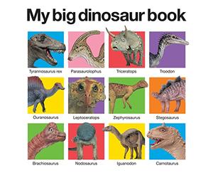 My Big Dinosaur Book (My Big Board Books)
