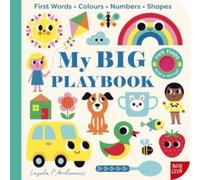 My BIG Playbook