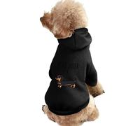 My Big Sister Is A Dachshund Dog Hoodie Shirts Pet Clothes for Small Puppy Cat Costume S