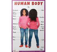 My Body (Educational Charts Series)